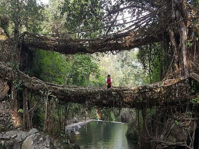 ​উমশিয়াং ডবল-ডেকার রুট ব্রিজ, মেঘালয়