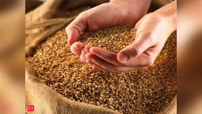 Wheat stock: कैसे भरेगा गरीबों का पेट! देश में गेहूं का स्टॉक रह गया है आधा
