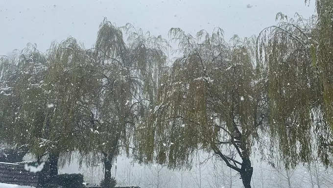 Snowfall in Manali