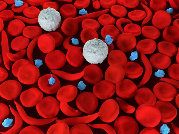 लाल रक्त कोशिका की गिनती कम क्यों होती हैं?