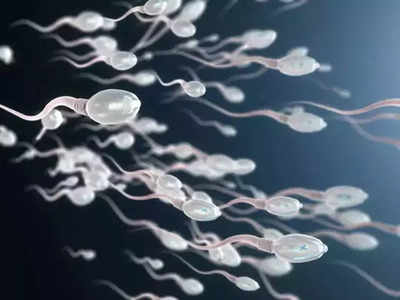 Sperm Count: পুরুষের স্পার্ম কাউন্ট কমেছে 62 শতাংশ, চাঞ্চল্যকর তথ্য গবেষণায়