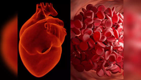 Warning Signs for Heart: પગ અને નખમાં આ નિશાનીઓ છે હૃદય માટે જોખમી, જાણો એક્સપર્ટની સલાહ 