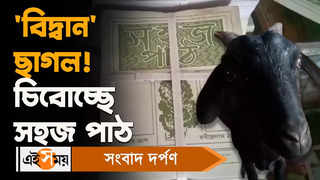 East Midnapur News : বিদ্বান ছাগল! চিবোচ্ছে সহজ পাঠ