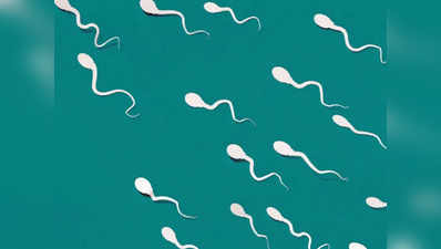 Sperm Count Decline భారత్ సహా పలు దేశాల్లో తగ్గిపోతున్న స్పెర్మ్ కౌంట్.. డేంజర్ బెల్స్