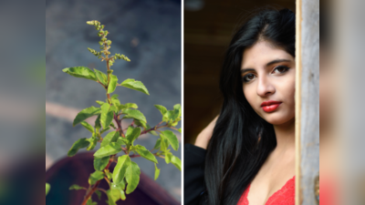 Benefits of Tulsi for Skin: आयुर्वेद भी मानता है तुलसी की पत्तियों की ताकत, यूं लगाएं और 7 दिन के अंदर बढ़ाएं निखार