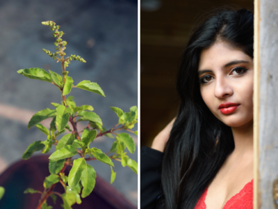 Benefits of Tulsi for Skin: आयुर्वेद भी मानता है तुलसी की पत्तियों की ताकत, यूं लगाएं और 7 दिन के अंदर बढ़ाएं निखार