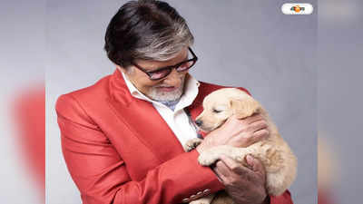 Amitabh Bachchan Pet Dog : প্রিয়জনকে হারালেন অমিতাভ বচ্চন, শোকের ছায়া জলসায়