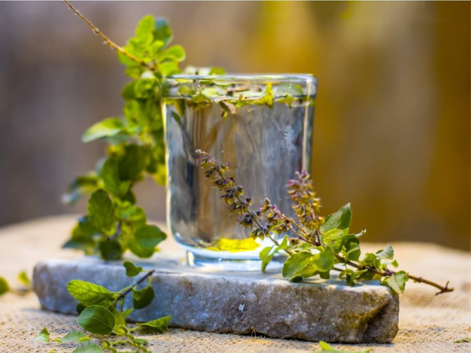 Tulsi Water