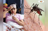Dengue Treatment : ডেঙ্গি রুখতে একগুচ্ছ নির্দেশিকা, কী ভাবে রুখবেন মারণ ভাইরাস?