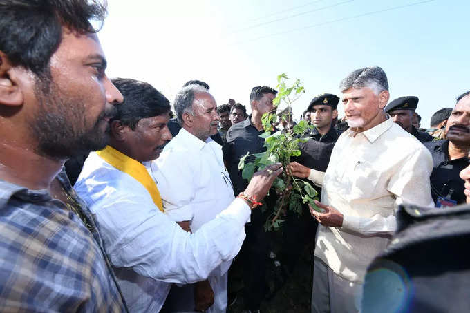 కర్నూలు జిల్లాలో టీడీపీ చీఫ్ చంద్రబాబు పర్యటన