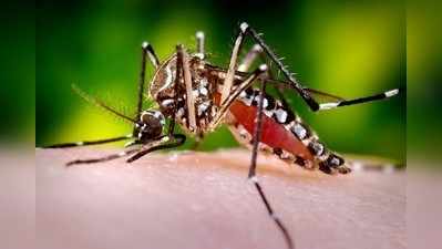 कानपुर : डेडिकेटेड डेंगू हॉस्पिटल में ही नहीं हैं फिजीशियन, न टेस्ट की सुविधा, CMO बोले- जल्द डॉक्टर मिलेंगे
