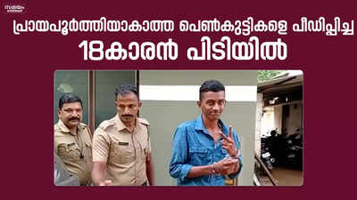 ഏഴ്, എട്ട് ക്ലാസുകളില്‍ പഠിക്കുന്ന പെണ്‍കുട്ടികളെ പീഡിപ്പിച്ചു; 18 കാരന്‍ പിടിയില്‍