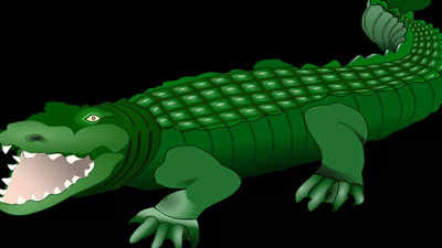 Crocodile In Mysuru - ಮೈಸೂರಲ್ಲಿ ಮೊಸಳೆ ಕಣ್ಣಾಮುಚ್ಚಾಲೆ: 3 ಬಾರಿ ಅರಣ್ಯ ಇಲಾಖೆ ಕಾರ್ಯಾಚರಣೆ ವಿಫಲ