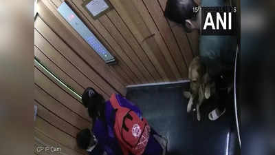 Noida News: स्कूल से लौट रहे बच्चे को लिफ्ट में पालतू कुत्ते ने काटा, मालिक पर लगा 10 हजार का जुर्माना