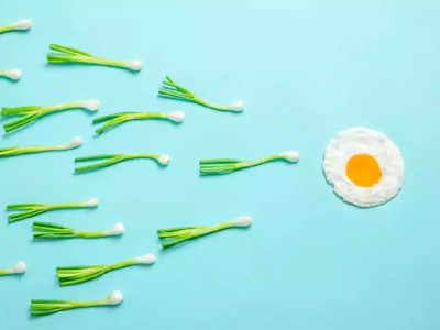 Foods Increase Sperm Count: స్పెర్మ్‌ కౌంట్‌ పెరగడానికి.. ఈ డైట్‌ కచ్చితంగా తీసుకోవాలి..!