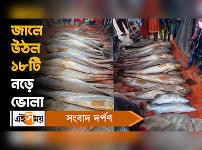 Bhola Fish : জালে উঠল ১৮টি নড়ে ভোলা! নিলামে কত দাম?