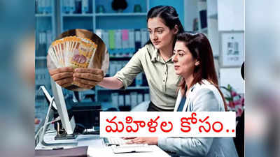 Business Ideas For Women: మహిళల కోసం చక్కటి బిజినెస్ ఐడియాలు ఇవే.. పెద్దగా ఇన్వెస్ట్ చేయకుండానే అదిరిపోయే లాభాలు 