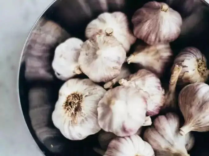 ಬೆಳ್ಳುಳ್ಳಿಯ ಪ್ರಯೋಜನಗಳು