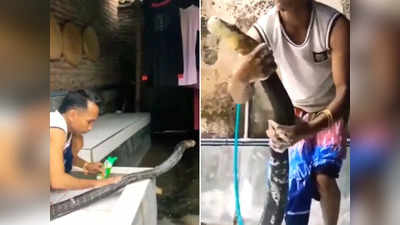 बंदे ने कोबरा सांप को शैंपू से रगड़-रगड़कर नहलाया, वीडियो इंटरनेट पर छाया