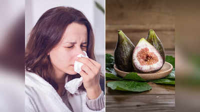 Fig Health Benefits: শীত এড়াতে চাইলে এই ফল খান, সর্দি-কাশির মতো ৫ মরশুমি রোগ স্পর্শ করতে পারবে না!