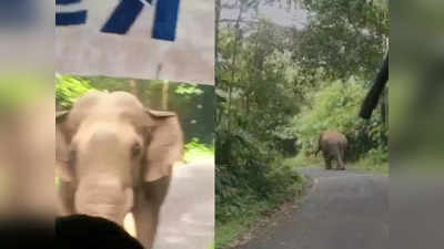 Thrissur Elephant Attack: ಕಾಡಾನೆಯಿಂದ ಪ್ರಯಾಣಿಕರ ಕಾಪಾಡಲು ಬಸ್‌ ಅನ್ನು 8 ಕಿಮೀ ಹಿಮ್ಮುಖವಾಗಿ ಚಲಿಸಿದ ಚಾಲಕ