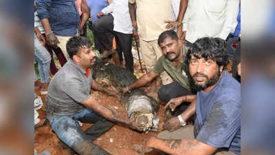 Crocodile in Mysuru: ಮೈಸೂರಲ್ಲಿ ಆತಂಕ ಸೃಷ್ಟಿಸಿದ್ದ ಮೊಸಳೆ ಕೊನೆಗೂ ಸೆರೆ; ಜನರು ನಿರಾಳ