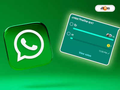 WhatsApp: এবার ভোট হবে হোয়াটসঅ্যাপেই, চ্যাটে হাজির কাজের ফিচার