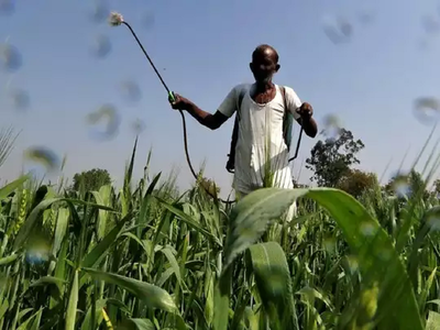 शेतकऱ्यांना अधिकार; कृषी उत्पन्न बाजार समितीच्या निवडणुकीसाठी निर्णय