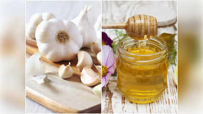 Benefits of Garlic and Honey: শীতে মধুতে চুবিয়ে খান রসুন, ৫ উপকার মিলবে হাতেনাতে