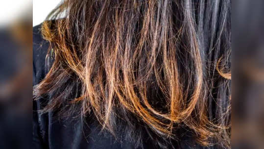 Hair split ends: മുടിയുടെ പിളർപ്പിന് പലതുണ്ട് കാരണങ്ങൾ