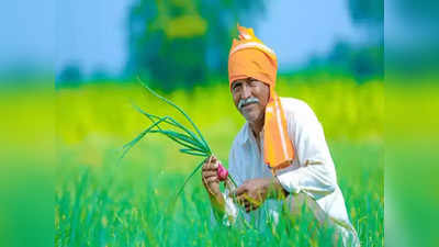 करोडो शेतकऱ्यांसाठी आनंदाची बातमी! १३व्या हप्त्यापूर्वी खात्यात जमा होतील २ हजार रुपये, चेक करा डिटेल्स