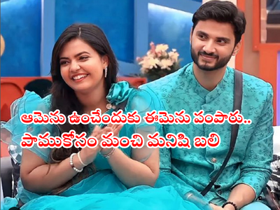 Bigg Boss Elimination: ఎలిమినేషన్ అప్డేట్.. మెరీనా ఔట్ రోహిత్ ఇన్.. ఇక విన్నర్ మెటీరియల్ ఇతనే.. లేడీ స్నేక్‌ టాప్ 5లో.. ప్చ్!!