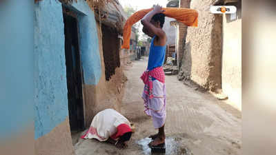 Birbhum News : সিউড়িতে খরার জেরে হয়নি চাষ, ভাগ্য ফেরাতে পাশের গ্রাম থেকে লক্ষ্মী দত্তক কৃষকদের