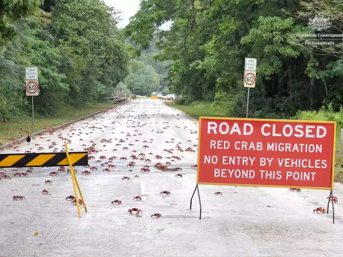 ​सड़कें पूरी तरह बंद