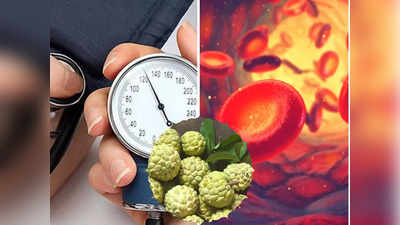 Custard Apple Benefits: सर्दी में बीजों से भरे इस फल को खाना है फायदेमंद, दूर रहते हैं BP-Anemia जैसे 6 रोग
