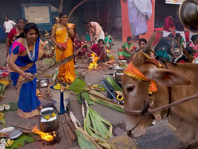 ​பொங்கலுக்காக காத்திருப்பு!