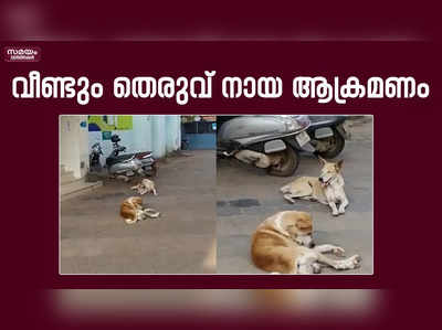 തെരുവ് നായ ആക്രമണത്തിൽ മൂന്ന് പേർക്ക് പരിക്ക് 