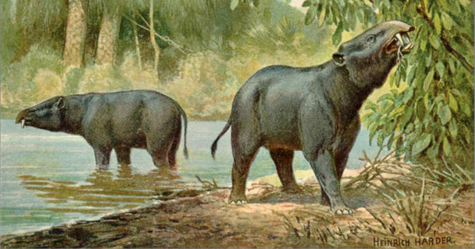 Moeritherium