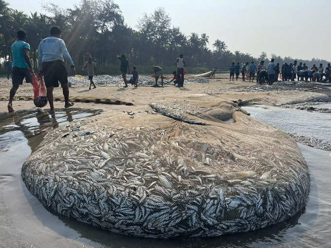 २७,००० कुटुंबं आपलं पोट भरतात