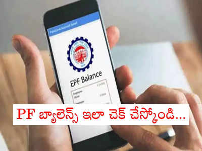 PF Balance: పీఎఫ్ బ్యాలెన్స్ చెక్ చేస్కుంటుండగా 1.23 లక్షలు మాయం.. మీరు ఈ మిస్టేక్ చేస్తున్నారా?