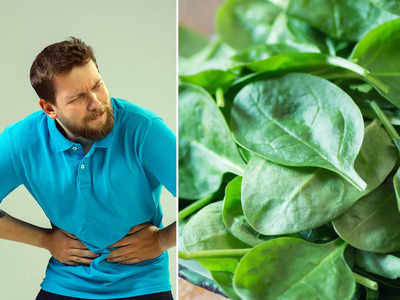 Side Effects Of Spinach: শীতে বাজার ছেয়েচে পালং শাকে, কিন্তু এই রোগ থাকলে ভুলেও খাবেন না; হিতের বিপরীত হতে পারে!