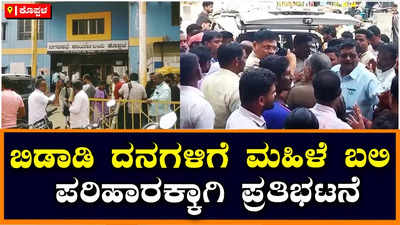 ಕೊಪ್ಪಳ: ಬಿಡಾಡಿ ದನಗಳ ಗುದ್ದಾಟದಲ್ಲಿ ಮಹಿಳೆ ಬಲಿ, ನಗರಸಭೆಯ ಮುಂದೆ ಶವವಿಟ್ಟು ಪ್ರತಿಭಟನೆ