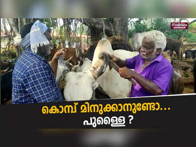 കാലിച്ചന്തയിലെ കരവിരുതന്മാരായ അച്ഛനും മകനും