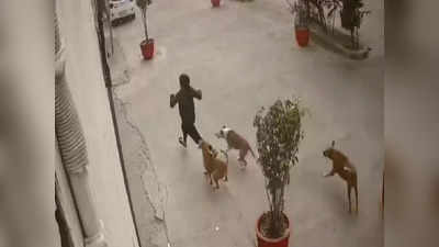 Ghaziabad Dog Attack: बच्ची का दो घंटे तक ऑपरेशन, 120 टांके लगे... स्ट्रे डॉग के हमले में गंभीर मासूम