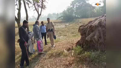 South 24 Parganas News : লাগাতর বোমা উদ্ধার কুলপিতে, আতঙ্ক গোটা এলাকায়