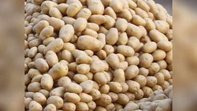Potato Price Fall: সাধারণ মানুষের জন্য বড় স্বস্তি! অবশেষে কমল আলুর দাম