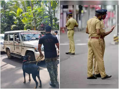 കണ്ണിൽക്കാണുന്നതെല്ലാം കക്കും; തസ്കര ഭീതിയിൽ കണ്ണൂർ, പിന്നാലെ പാഞ്ഞ് പോലീസ്