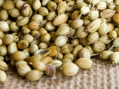 Coriander: മല്ലിയും മല്ലിയിലയും അത്ര ചില്ലറക്കാരല്ല, തൈറോയ്ഡും പ്രമേഹവും കുറയ്ക്കാൻ മല്ലിയിട്ട വെള്ളം