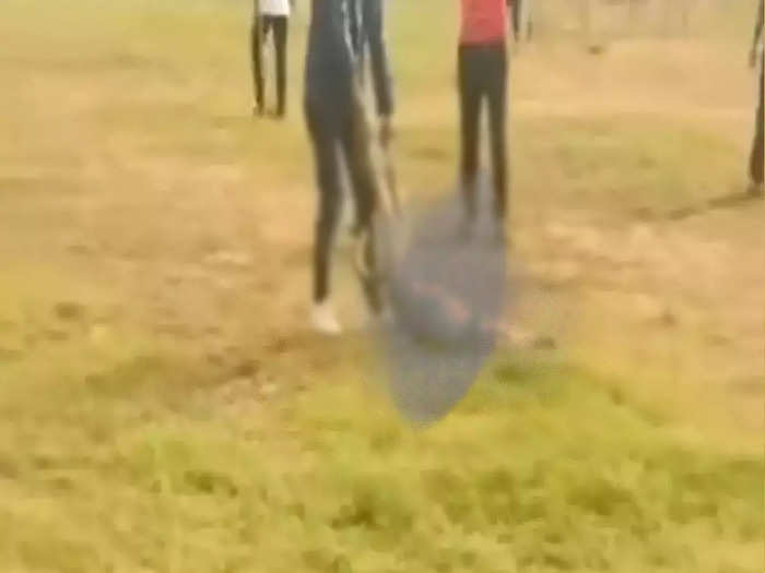 Dog beaten to death by students