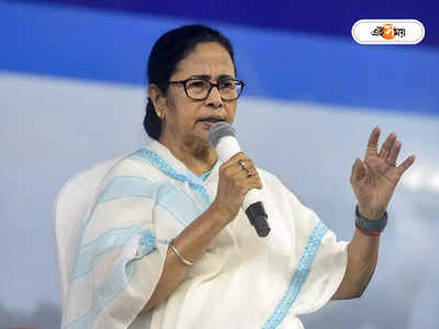 Mamata Banerjee : দ্রুত শান্তি ফিরুক অসম-মেঘালয় সীমান্তে, টুইট উদ্বিগ্ন মমতার